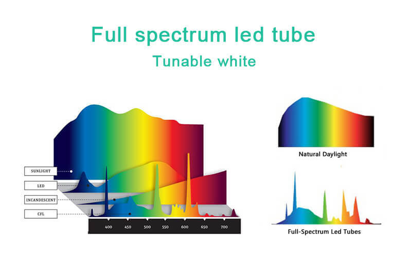 Smart full-spectrum led tube light | arkshine.com